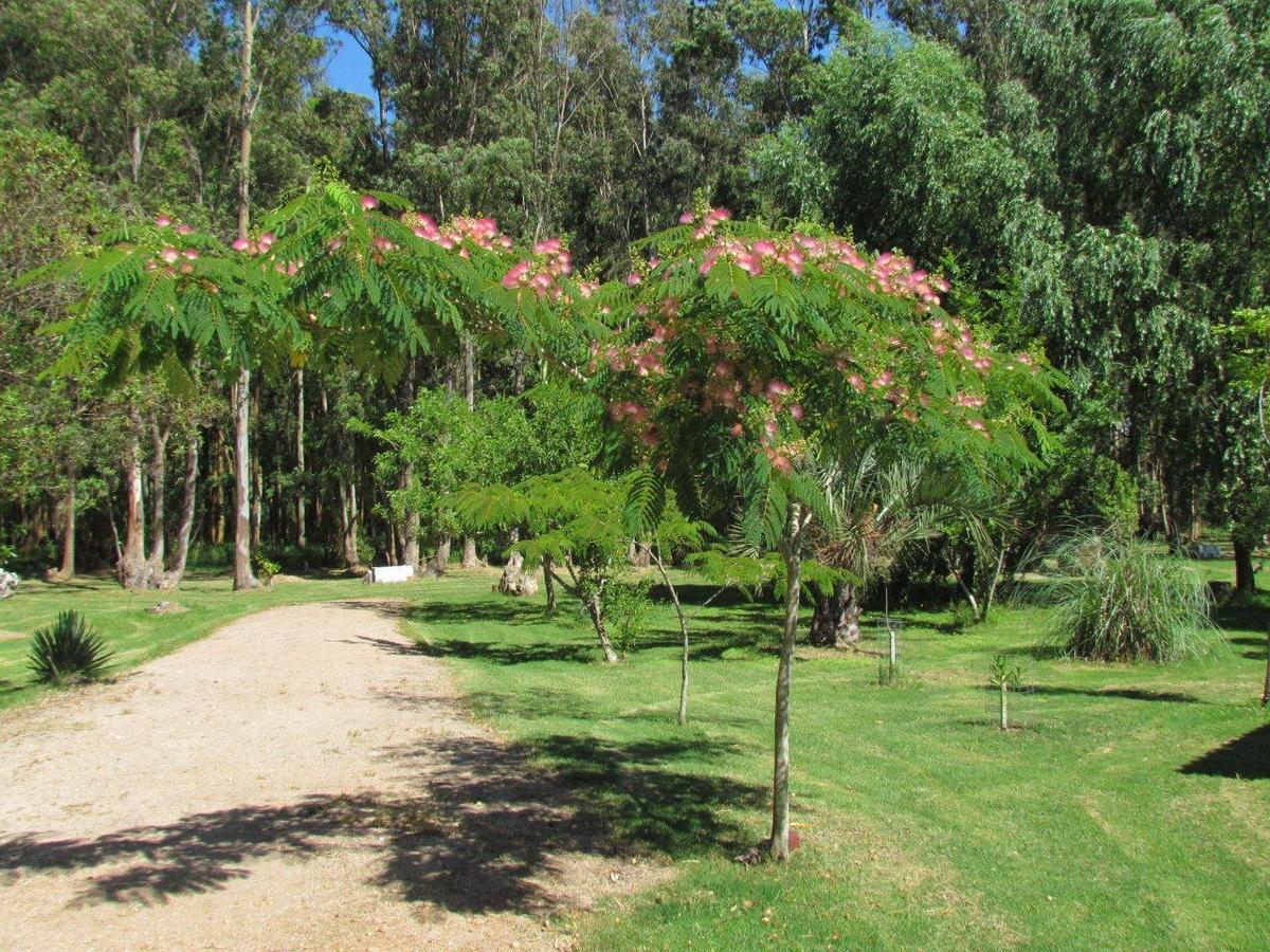 La Posta De La Laguna La Paloma Esterno foto