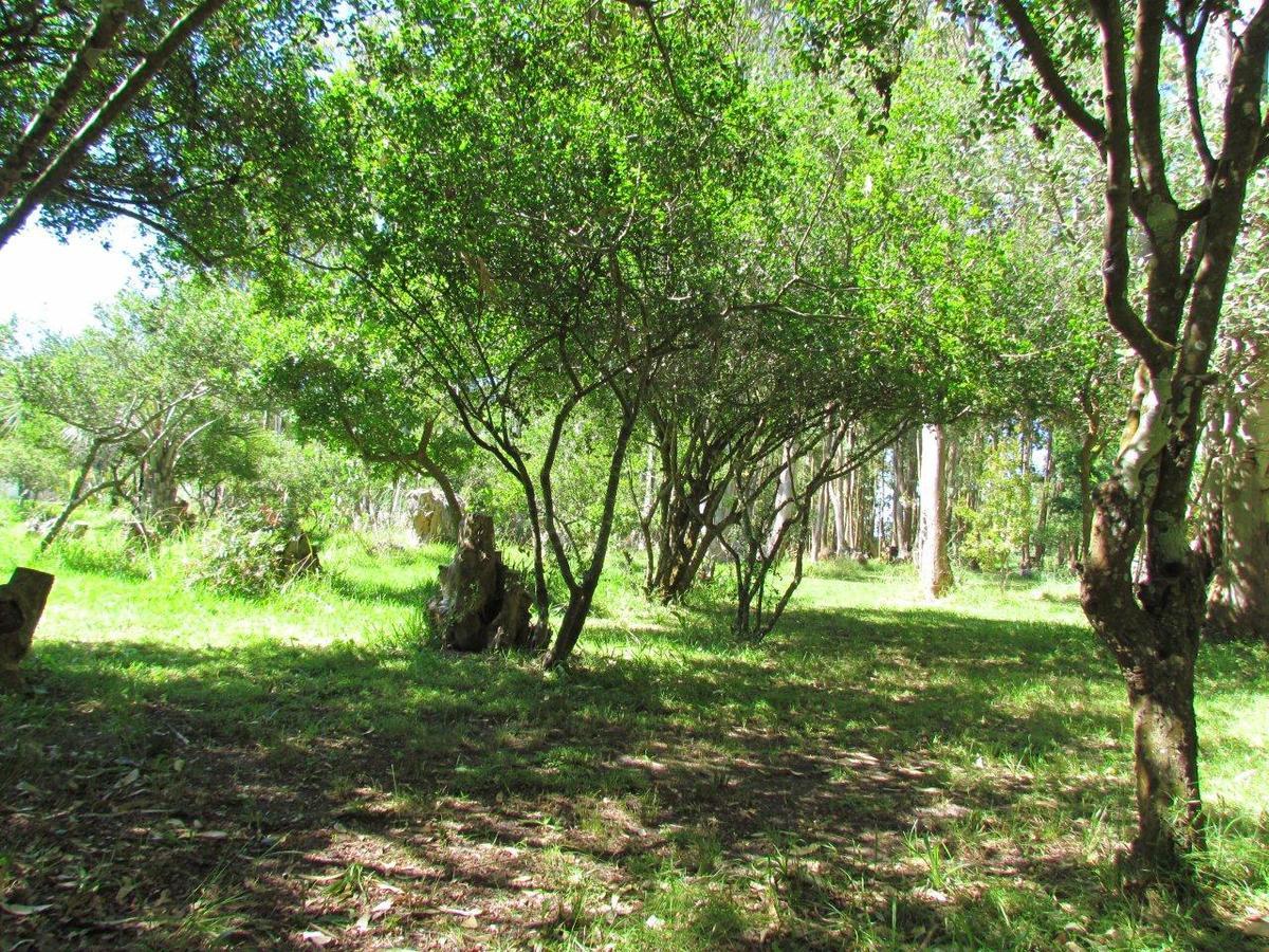 La Posta De La Laguna La Paloma Esterno foto