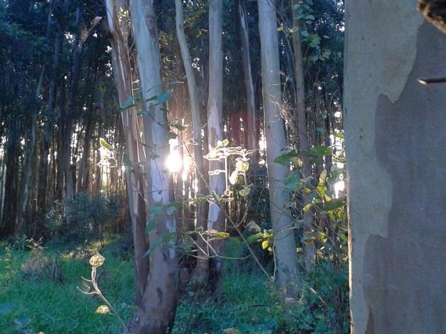 La Posta De La Laguna La Paloma Esterno foto